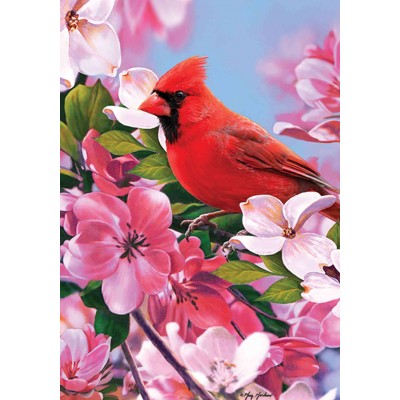 Cardinals & Flowers